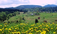 In the Carpathians, Spring / ***