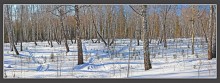 grove in March / ***