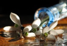 Spring blues / ****************