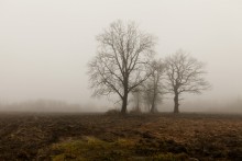 Autumn mood / ***