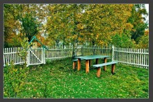 Fall polisadnik / ***