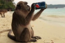 The new generation chooses Pepsi / *****