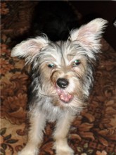 Denny: &quot;PrYvet! / ***