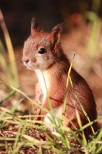 ... &quot;All for attention ...&quot; / ***