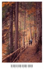 Autumn in Carpathians / ***