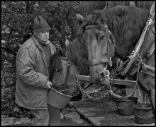 Watering place for horses / ***