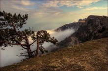 The road to the clouds / ***