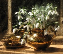 Sketch with snowdrops / *******************