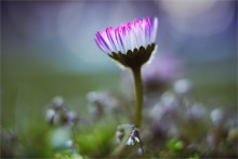 good evening ... / .....