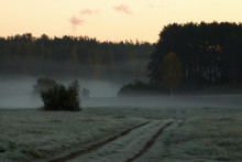 Autumn morning on the island / ***