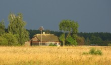 The farm is approaching thunderstorm / ***