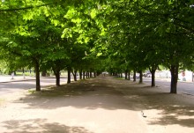 Road / *****