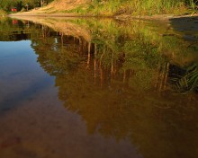 Reflection / ***