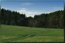 The path to the woods / ***