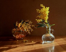 Two vases and spring / ***
