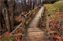 The road to autumn / ***