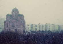 spring snow / __________________