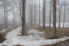 April mist / ********
