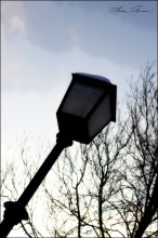 Lantern / ***