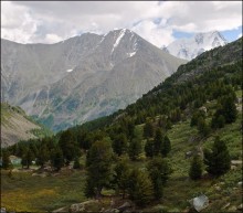 From the heights of the Altai Mountains II / ***