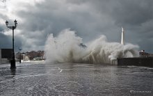 waves in the bay / ***