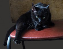 Resistant Kasia / ***