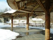 Fungi from under the snow. / ***