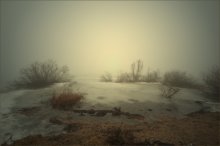 Hedgehog in the Fog / ***