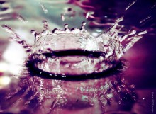 Crown / ******