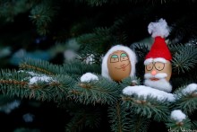 If the eggs were alive !!! / ***