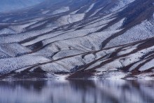 Winter Bartogai - Version II / ***