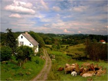 Czech pastoral / ***