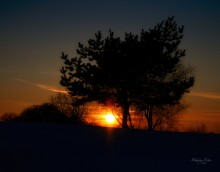Winter sunset / ***