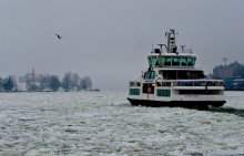Where ships leave / ***