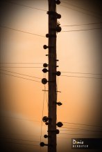 All the &quot;roads&quot; lead to the RIM! / ***