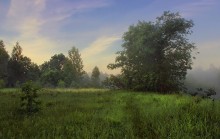 Fog. Morning. / ***