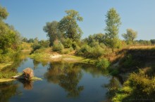 Summer afternoon on the Vorskla River / ***