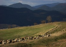 On the slope of the ridge Borzhavski / ***