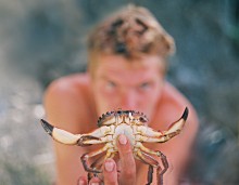 A classic portrait of a crab / ***