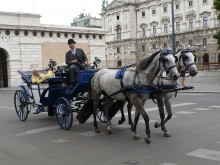 Vienna phaeton / ***