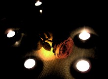 Red Rose / !!!!!!!!!!!!!!!!!!!!!!!!!!!