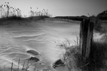 Still life in the desert / ***