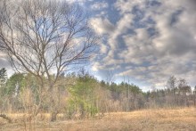 Landscape =) / ***