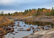 Quiet in the Karelian forest / ***