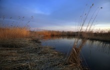 Trastnikovy paradise ... / ***