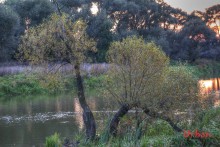 Sunset / ***