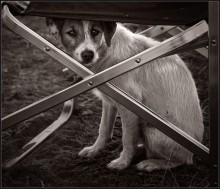 Perfect protection ... / ***