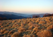 April Carpathians / ***