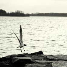 Takeoff / ***