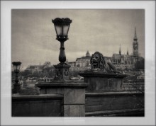About the lights, the lion and the City / ******